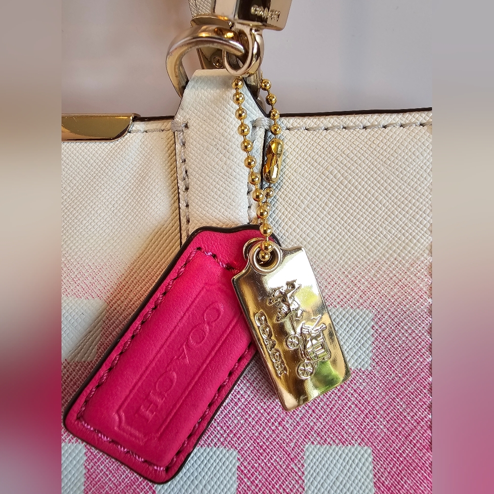 Coach Madison Gingham East West Tote w/  Wristlet (NWT) Set - Picture 5 of 16